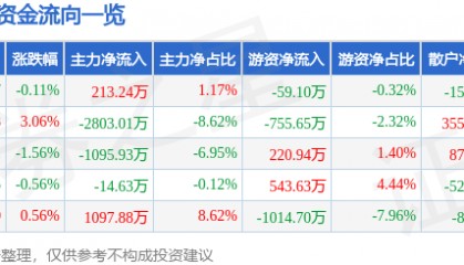 股票行情快报:大智慧(601519)5月30日主力资金净买入213.24万元