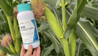 进口水溶肥如何选？