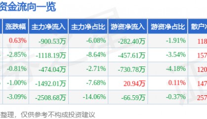 股票行情快报：大东方（600327）2月5日主力资金净卖出900.53万元