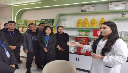 【产改进行时】赤峰市荣盛达合作社“三链融合” 锻造产改先锋力量