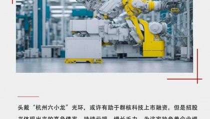 放弃英伟达股票创业，毛利超微软，中国版“黄仁勋”的野心与现实