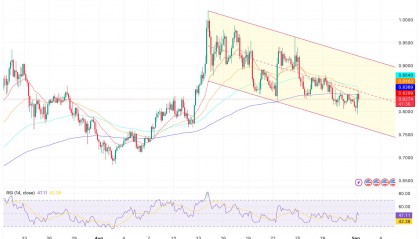 ADA-艾达币交易所(lalorada是什么红酒)