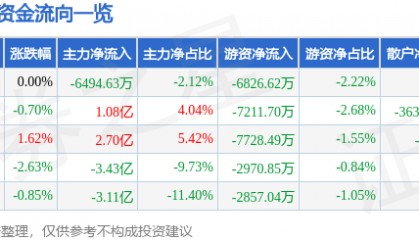 股票行情快报：比亚迪（002594）11月27日主力资金净卖出6494.63万元