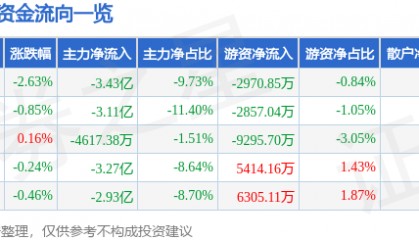 股票行情快报：比亚迪（002594）11月22日主力资金净卖出3.43亿元