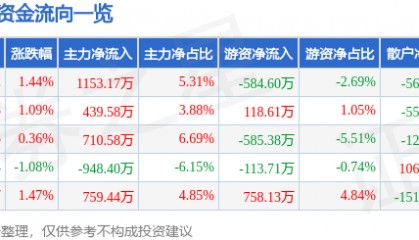 股票行情快报：宝泰隆（601011）3月12日主力资金净买入1153.17万元