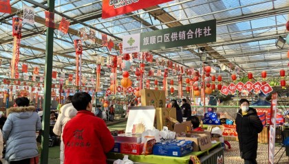 2025大连旅顺供销年货大集开幕