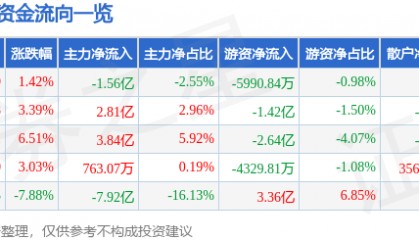 股票行情快报：同花顺（300033）2月10日主力资金净卖出1.56亿元