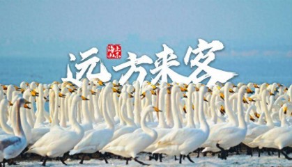 喜报！大众网日照作品获“讲好中国故事”创意传播国际大赛一等奖！