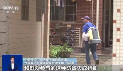 确诊超4000例！下午6点一起点蚊香真有用吗？