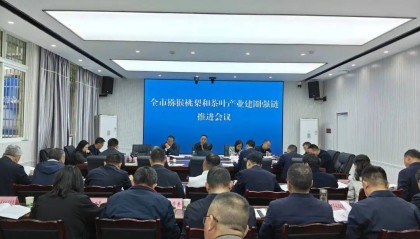 广元市召开猕猴桃梨和茶叶产业建圈强链推进会议