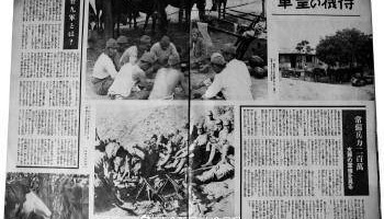 迟到的影像，长存的铁证：电影《731》上映，重探“鲁西无人区”