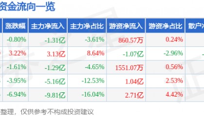 股票行情快报：同花顺（300033）1月8日主力资金净卖出1.31亿元