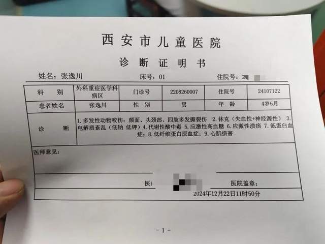 西安4岁男童被恶犬咬伤！禁养办：追捕中！疑流浪狗，管理困难