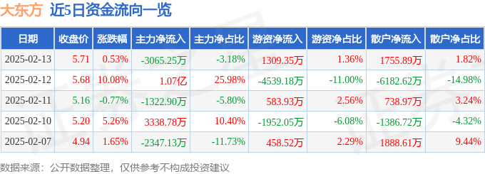 股票行情快报：大东方（600327）2月13日主力资金净卖出3065.25万元