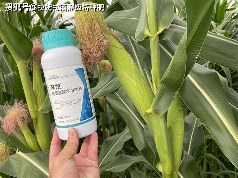 进口水溶肥如何选？