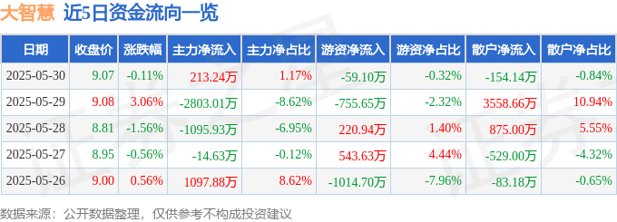 股票行情快报：大智慧（601519）5月30日主力资金净买入213.24万元