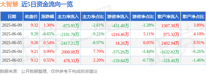 股票行情快报：大智慧（601519）6月9日主力资金净卖出875.91万元
