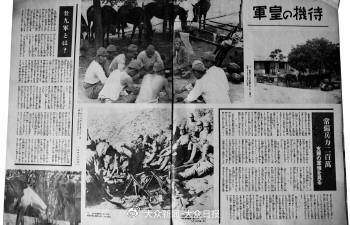 迟到的影像，长存的铁证：电影《731》上映，重探“鲁西无人区”