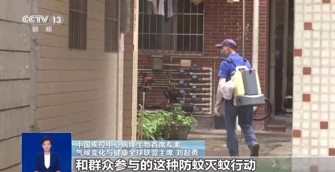 确诊超4000例！下午6点一起点蚊香真有用吗？