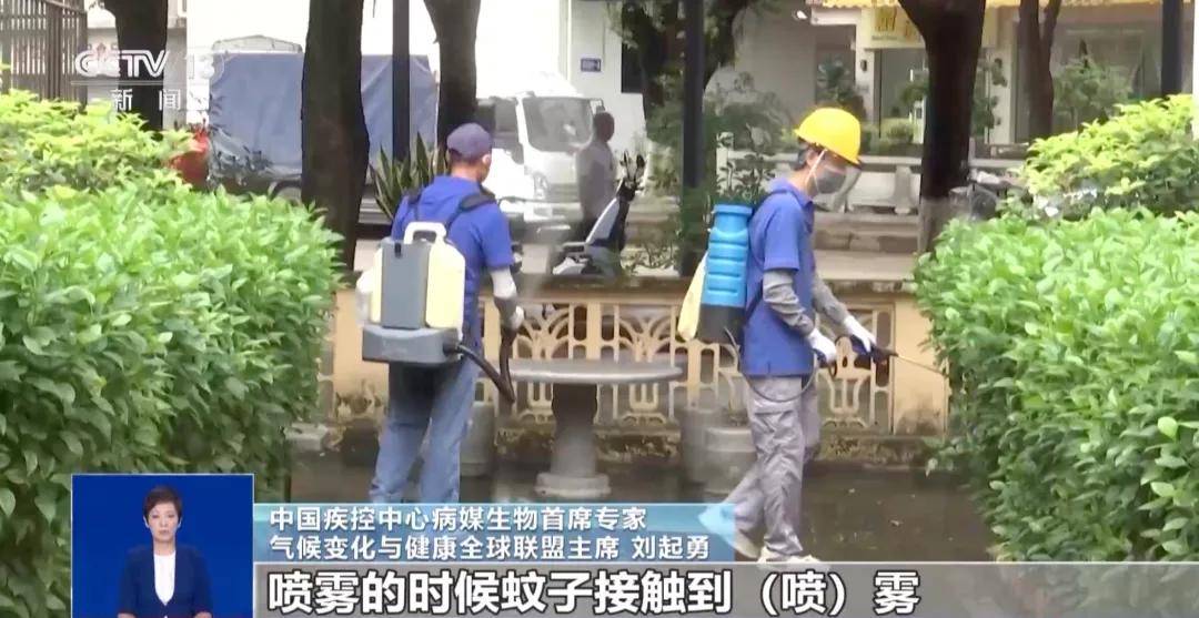 确诊超4000例！下午6点一起点蚊香真有用吗？