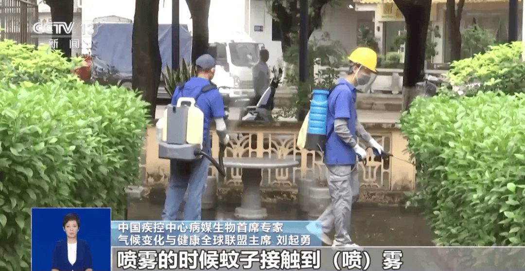 确诊超4000例！张文宏首次发声！下午6点一起点蚊香有用吗？