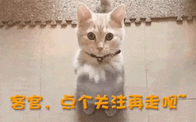 她曾是体操冠军，16岁被姜文带进娱乐圈，因长相太美绯闻数不清