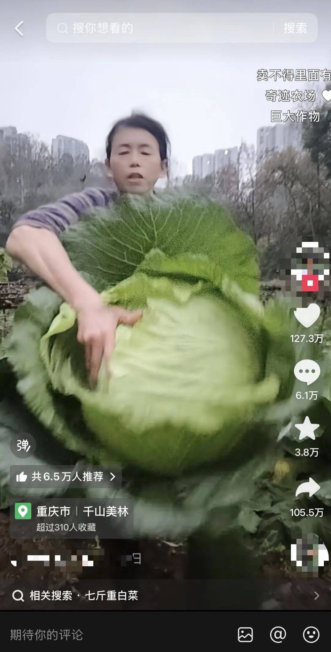 老辈子种菜“没轻没重”的……妈妈：“去摘一片菜叶来晚上炒着吃”