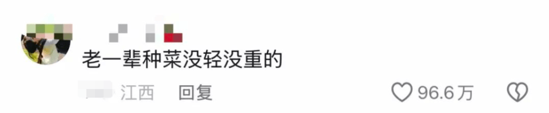 老辈子种菜“没轻没重”的……妈妈：“去摘一片菜叶来晚上炒着吃”