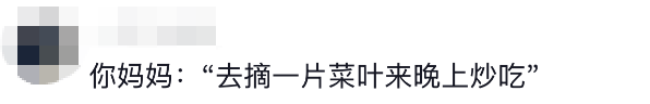 老辈子种菜“没轻没重”的……妈妈：“去摘一片菜叶来晚上炒着吃”