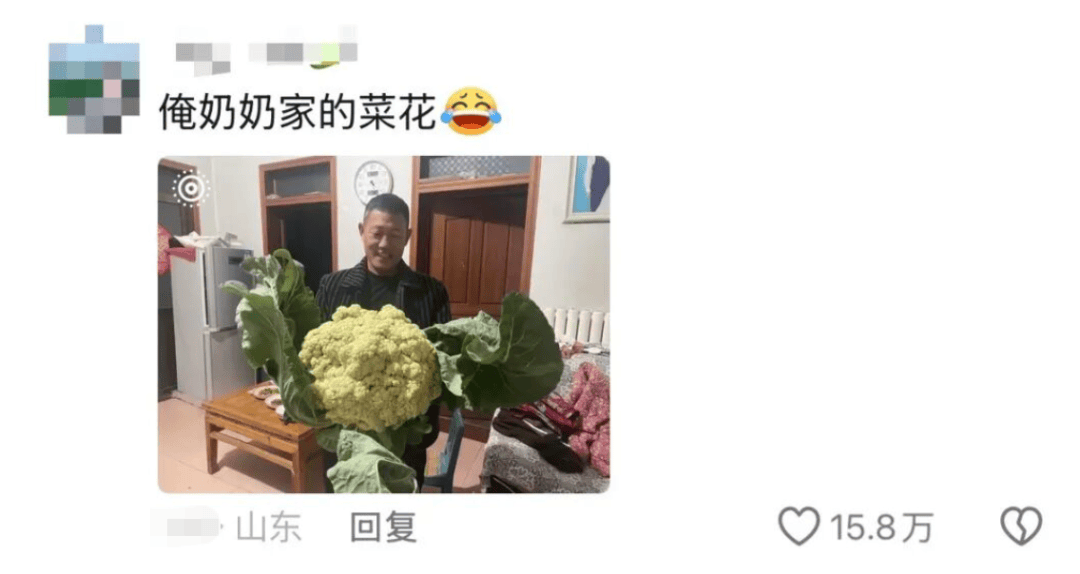 老辈子种菜“没轻没重”的……妈妈：“去摘一片菜叶来晚上炒着吃”