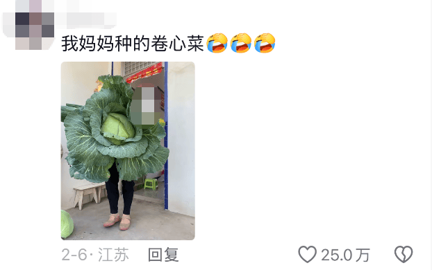 老辈子种菜“没轻没重”的……妈妈：“去摘一片菜叶来晚上炒着吃”