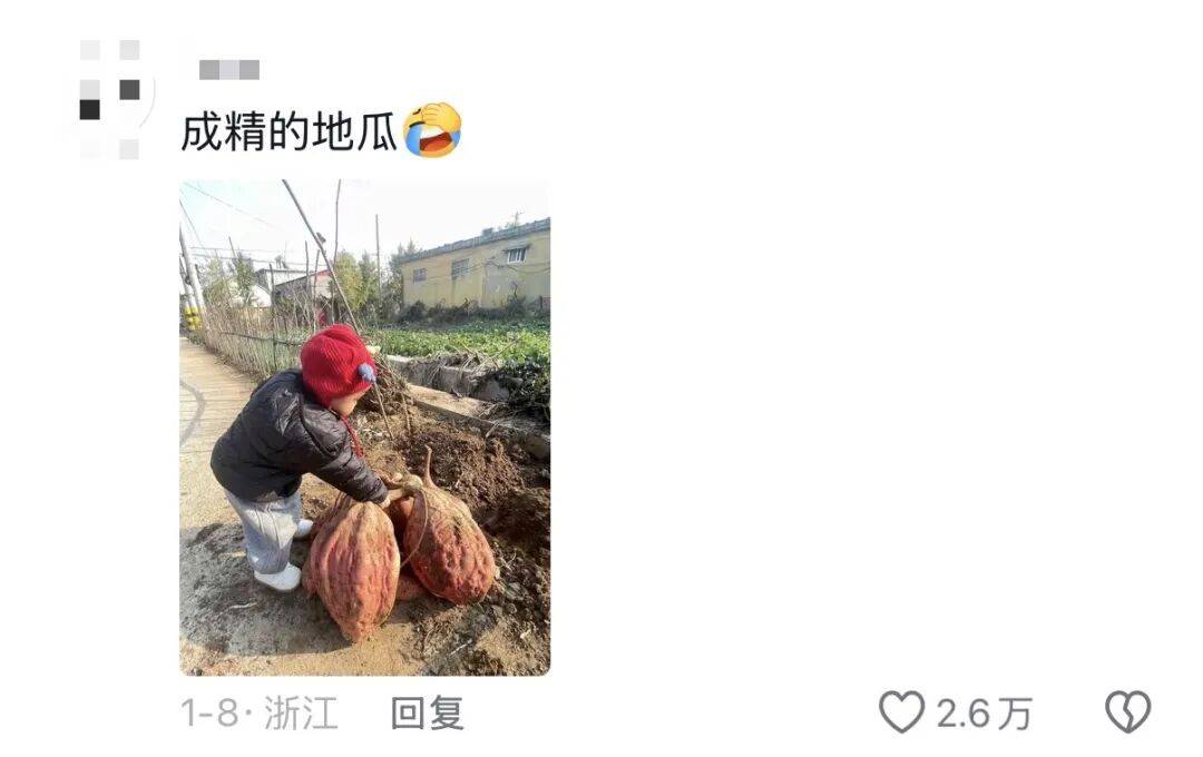 老辈子种菜“没轻没重”的……妈妈：“去摘一片菜叶来晚上炒着吃”