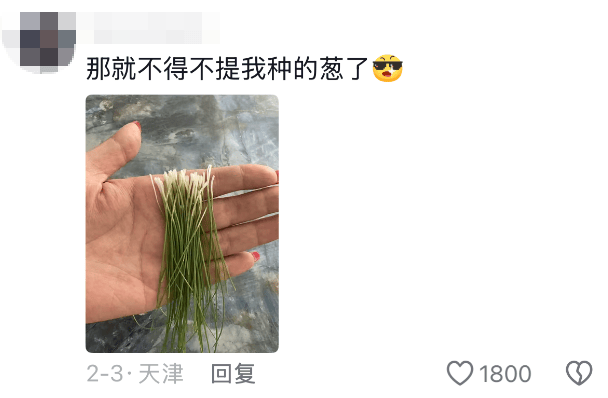 老辈子种菜“没轻没重”的……妈妈：“去摘一片菜叶来晚上炒着吃”