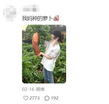 老辈子种菜“没轻没重”的……妈妈:“去摘一片菜叶来晚上炒着吃