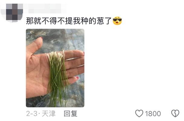 老辈子种菜“没轻没重”的……妈妈:“去摘一片菜叶来晚上炒着吃