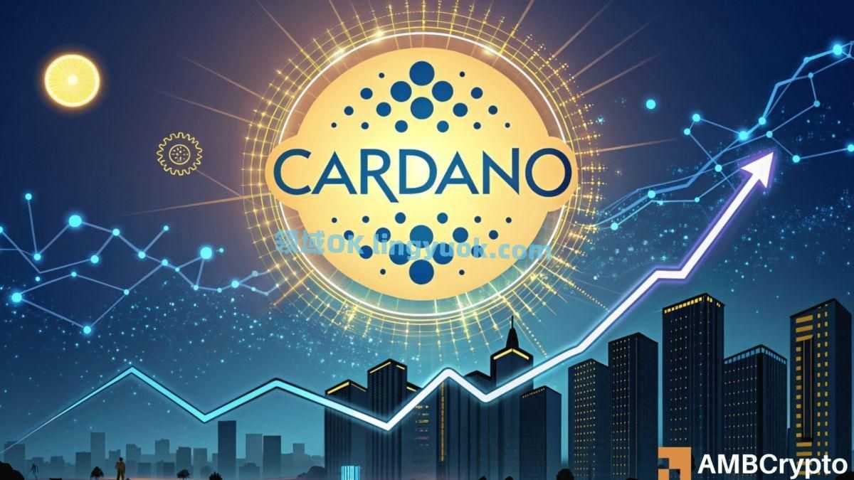 艾达币交易官网(艾达币交易官网网址) 艾达币交易官网(艾达币交易官网网址)